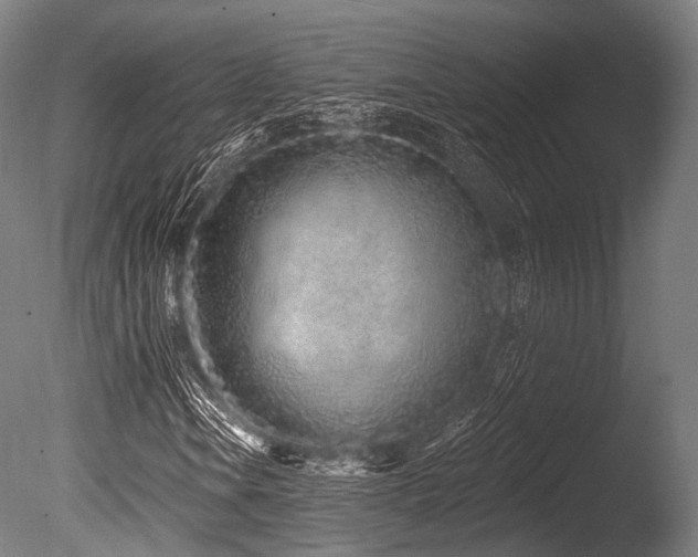 X0000086101106200703231427