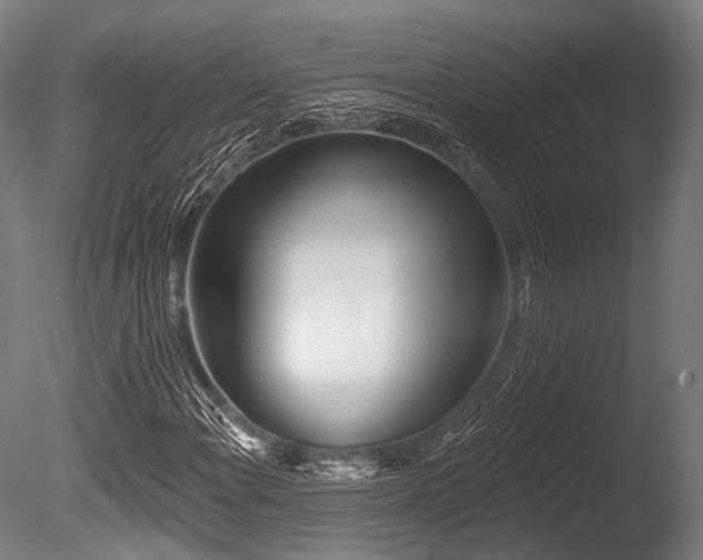 X0000086101108200703231427