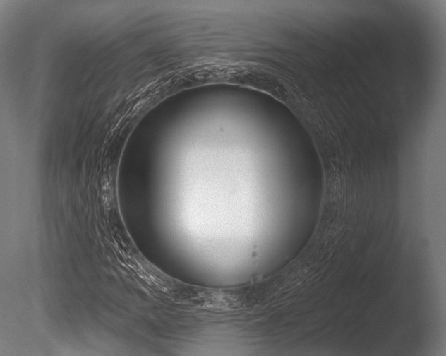 X0000086101109200703231427