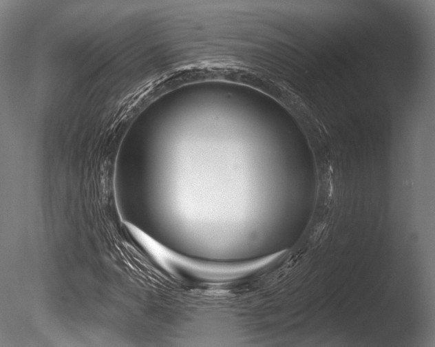 X0000086101110200703231427