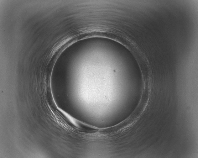 X0000086101113200703231427