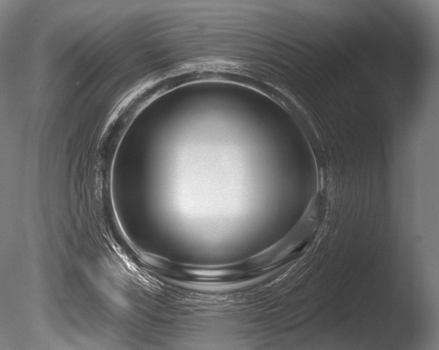 X0000086101115200703231427