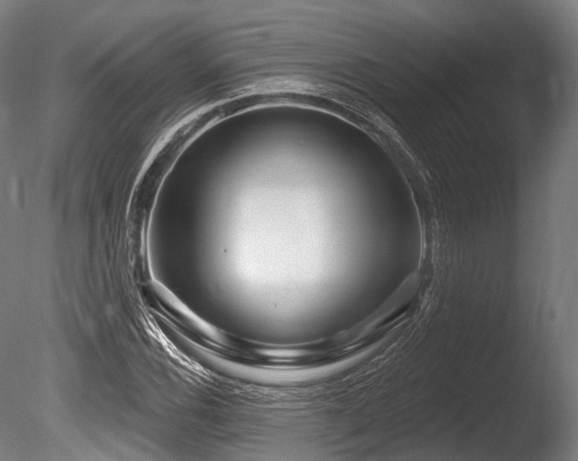 X0000086101116200703231427