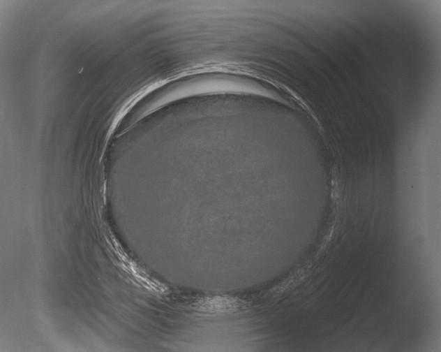 X0000086101117200703231427