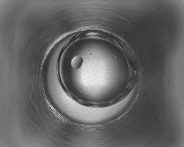 X0000086101118200703231427