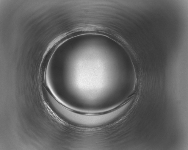 X0000086101122200703231427