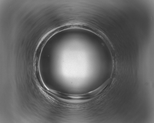 X0000086101124200703231427