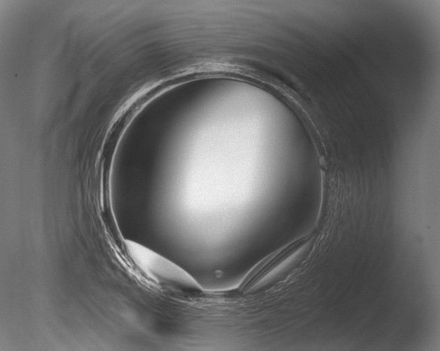 X0000086101127200703231427