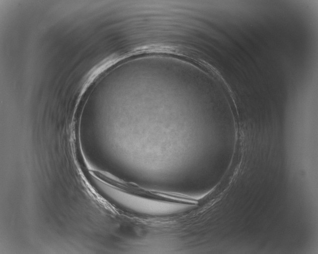 X0000086101133200703231428