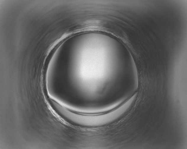 X0000086101134200703231428
