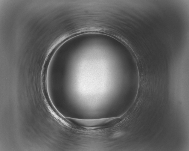 X0000086101135200703231428