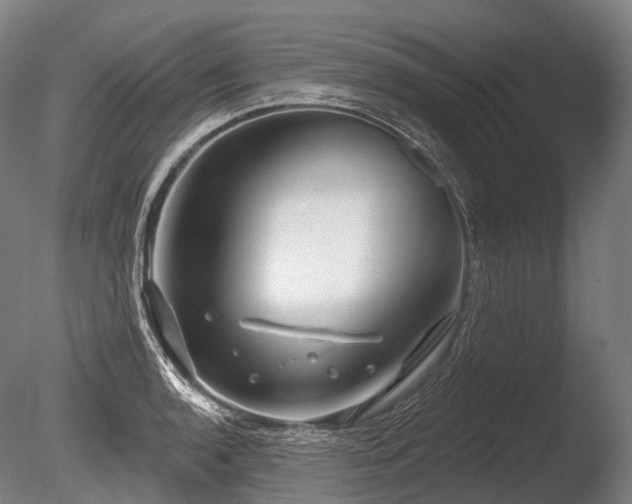 X0000086101136200703231428
