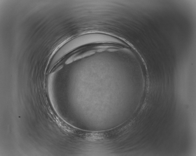 X0000086101145200703231428