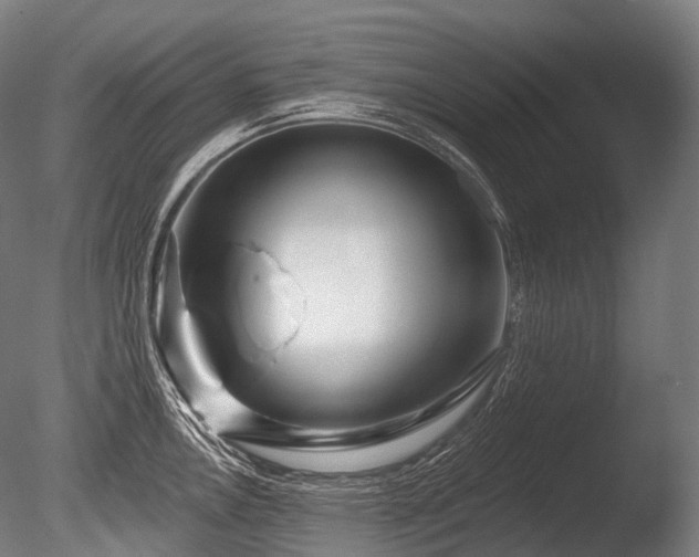 X0000086101146200703231428