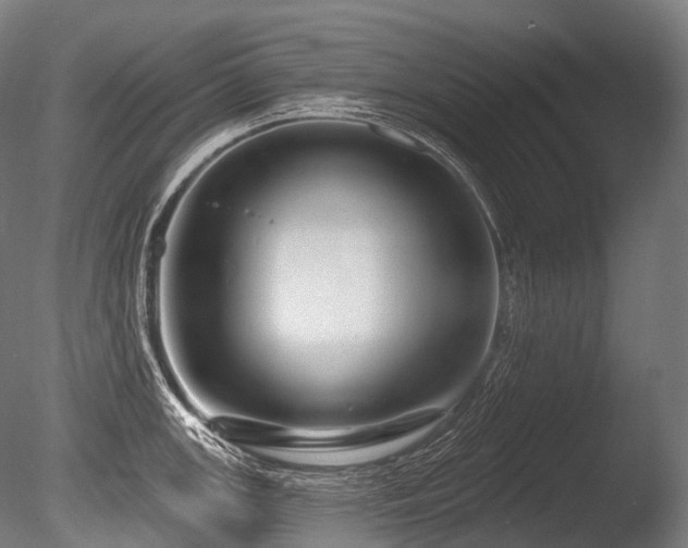 X0000086101147200703231428