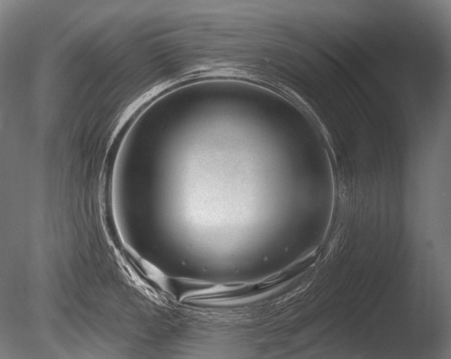 X0000086101149200703231428