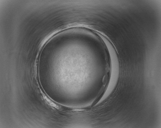 X0000086101151200703231428
