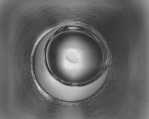 X0000086101152200703231428