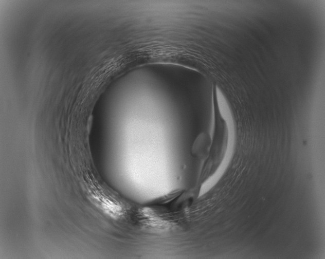 X0000086101153200703231427