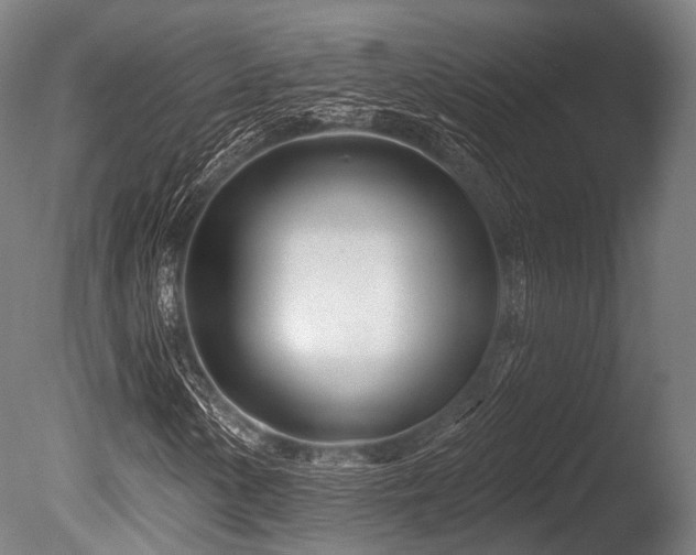 X0000086101154200703231427