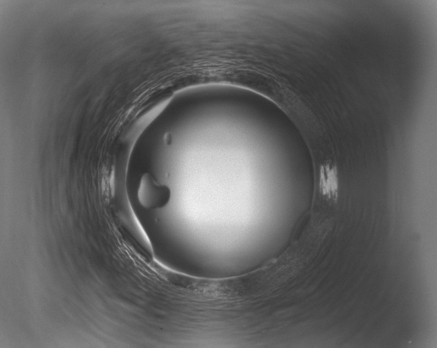 X0000086101155200703231427