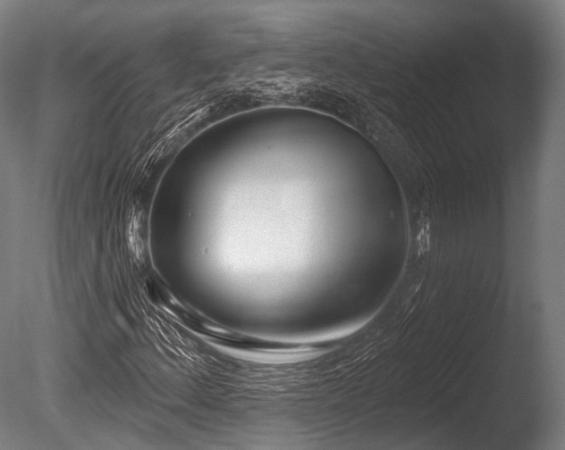 X0000086101156200703231427