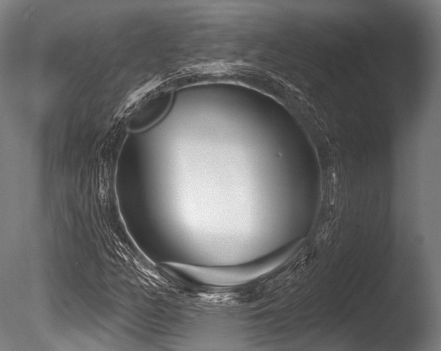 X0000086101158200703231427