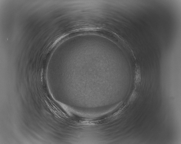 X0000086101161200703231427