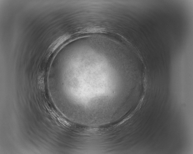 X0000086101162200703231427