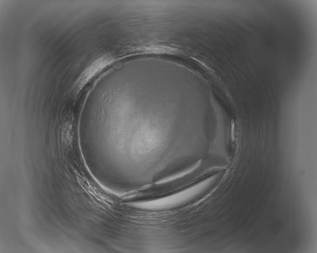 X0000086101163200703231427