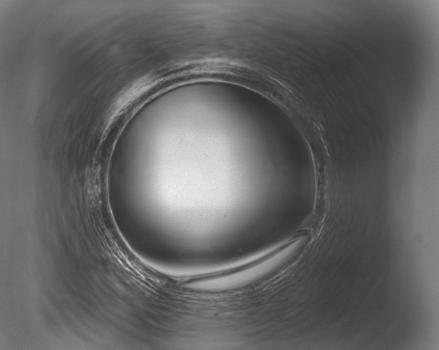 X0000086101164200703231427