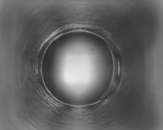 X0000086101165200703231427
