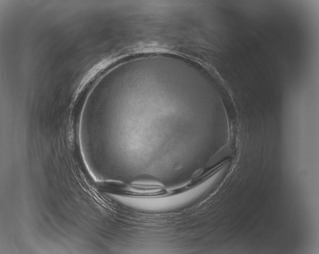 X0000086101167200703231427