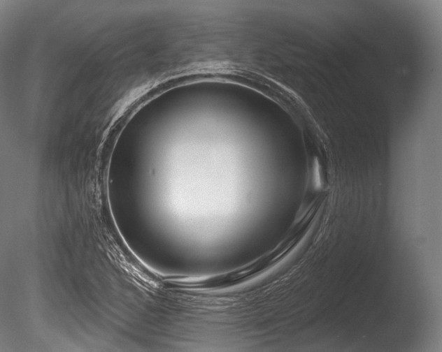 X0000086101168200703231427