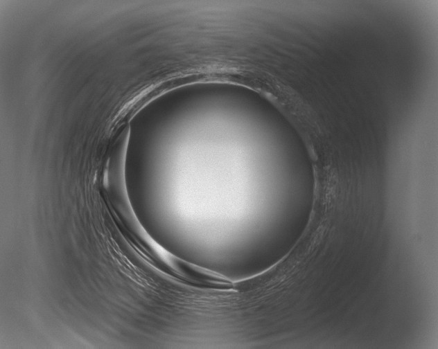 X0000086101169200703231427