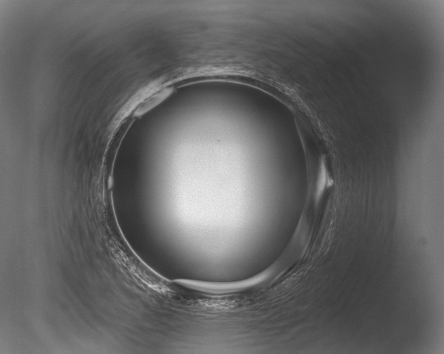 X0000086101173200703231427