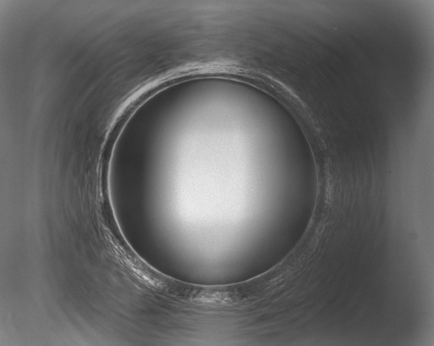 X0000086101174200703231427