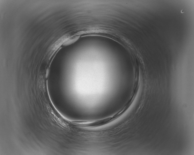 X0000086101177200703231427