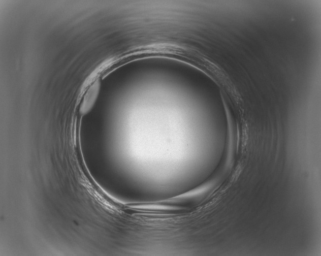 X0000086101180200703231427