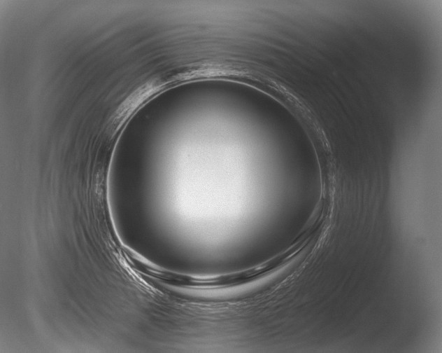 X0000086101185200703231427
