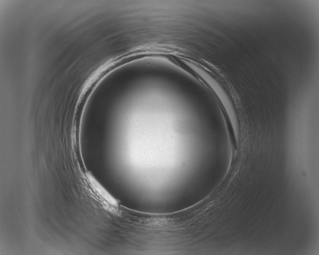 X0000086101188200703231426