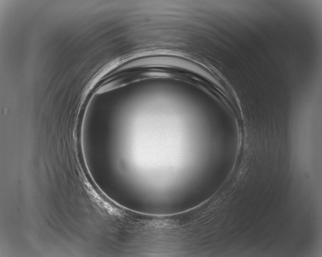 X0000086101189200703231426