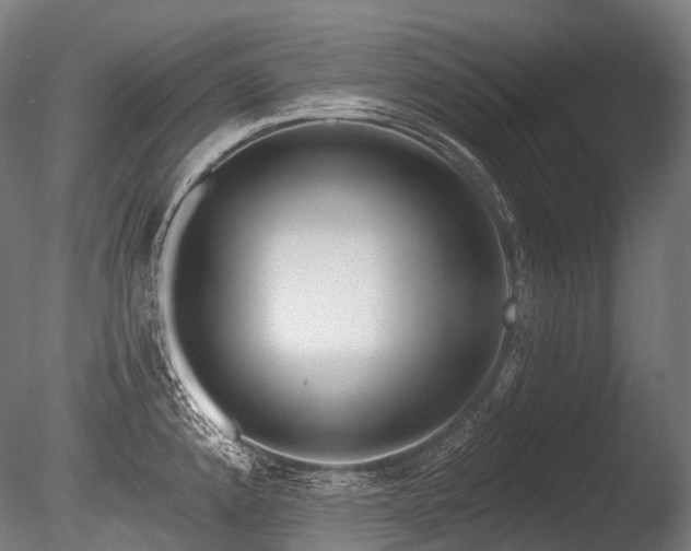 X0000086101192200703231426