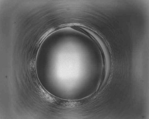 X0000086101193200703231426