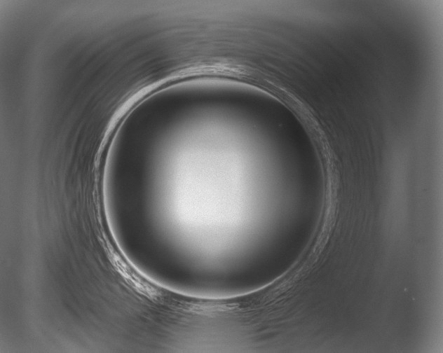 X0000086101200200703231426