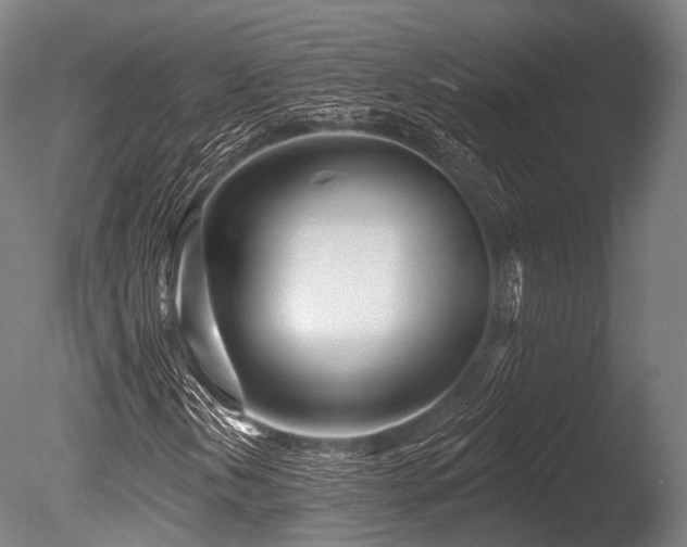X0000086101202200703231425