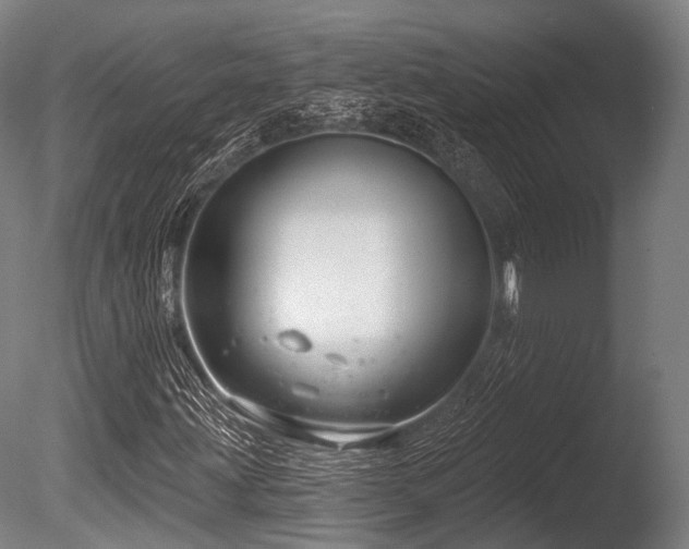 X0000086101203200703231425