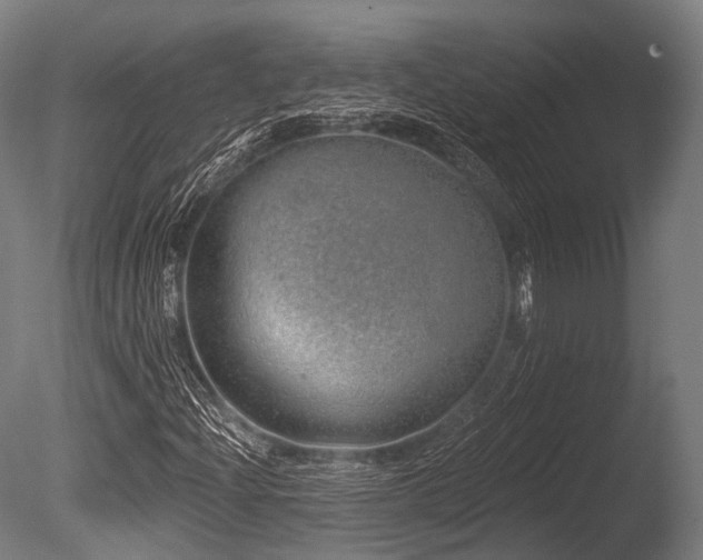 X0000086101204200703231425
