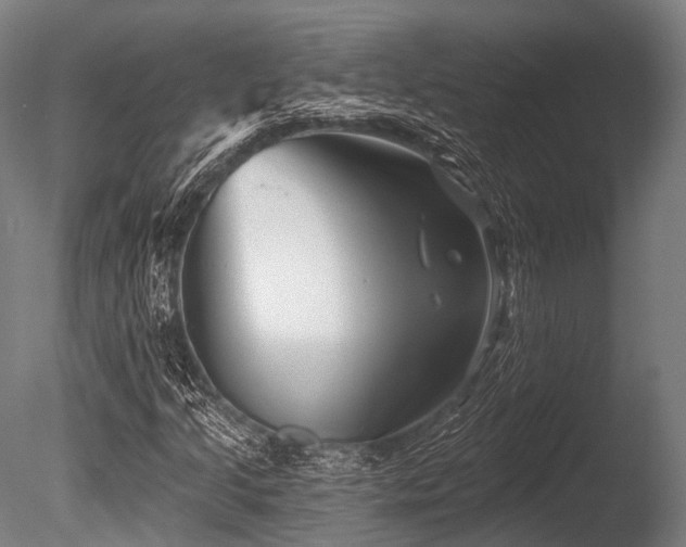 X0000086101205200703231426