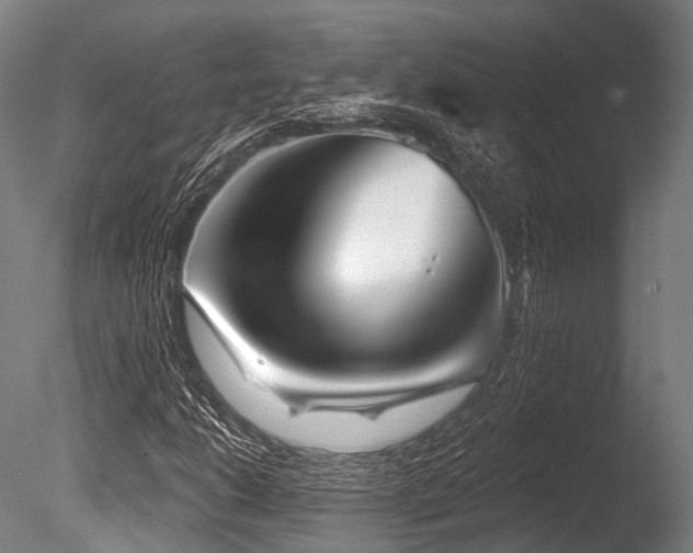 X0000086101206200703231426